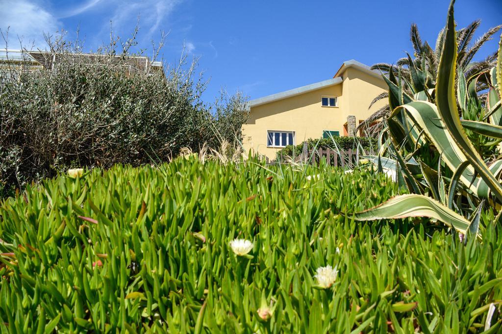 B&B Livia Castiglione della Pescaia Zewnętrze zdjęcie